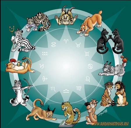 Life chinese zodiac love compatibility